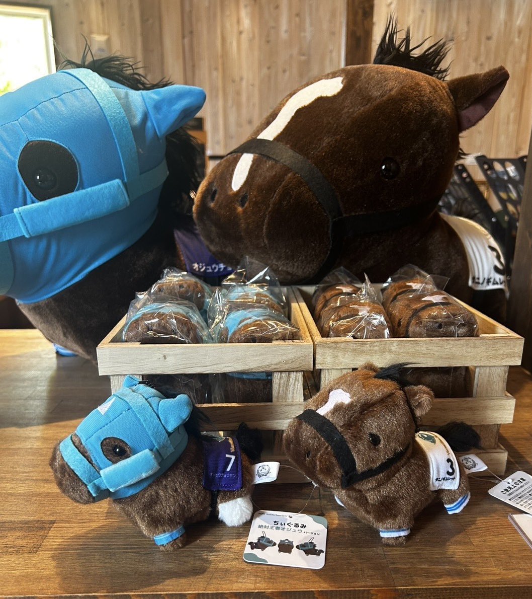 ちぃぐるみ 全2種類 6月1日に日付が変わった瞬間、 0時00分に販売開始