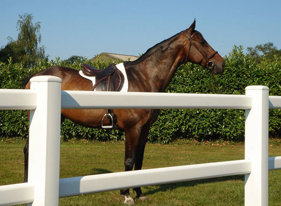 Managing a small yard or private livery? Duralock Post &amp; Rail fencing offers a safe, secure, and durable solution for your paddocks and turnout areas.

#Duralock #EquestrianFencing #PostAndRail #LiveryYard #HorseCare
