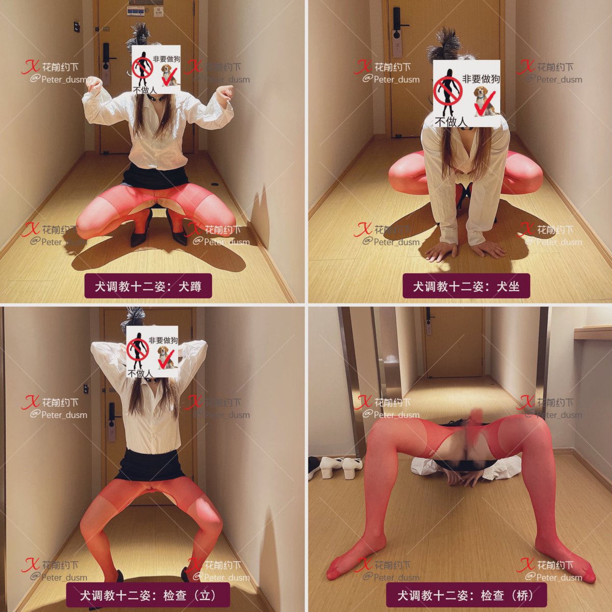 花前约下 tweet media