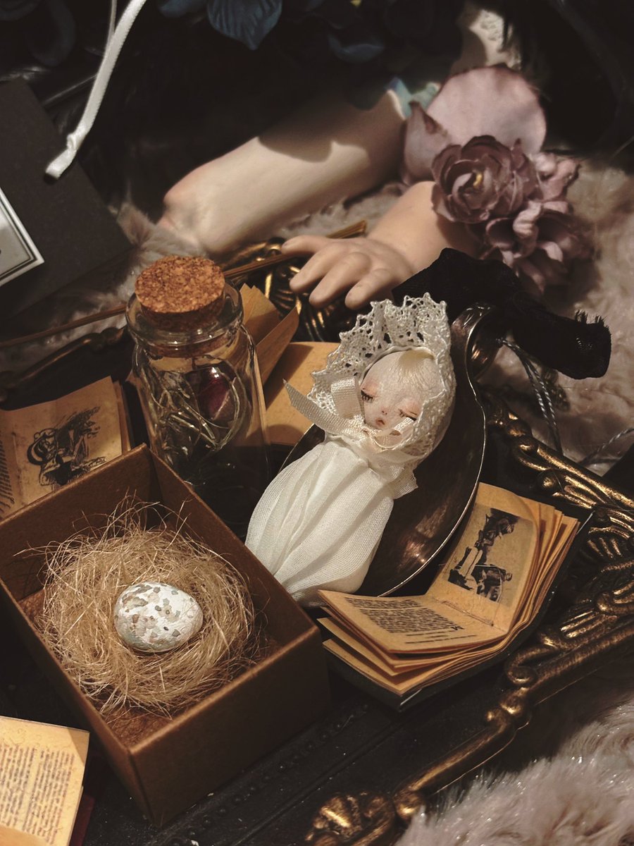 shiki (@shiki6543) on Twitter photo RENbear様(<a href="/renbear_doll/">RENbear*低浮上</a> )から
お迎えしました(*´˘`*)
予想外に小さくてアワアワ:(´◦ω◦`):
しましたが、
すぐに居場所確保、可愛い(///ˊㅿˋ///)
この度もありがとうございます(⋆ᴗ͈ˬᴗ͈)” RENbear様(<a href="/renbear_doll/">RENbear*低浮上</a> )から
お迎えしました(*´˘`*)
予想外に小さくてアワアワ:(´◦ω◦`):
しましたが、
すぐに居場所確保、可愛い(///ˊㅿˋ///)
この度もありがとうございます(⋆ᴗ͈ˬᴗ͈)”