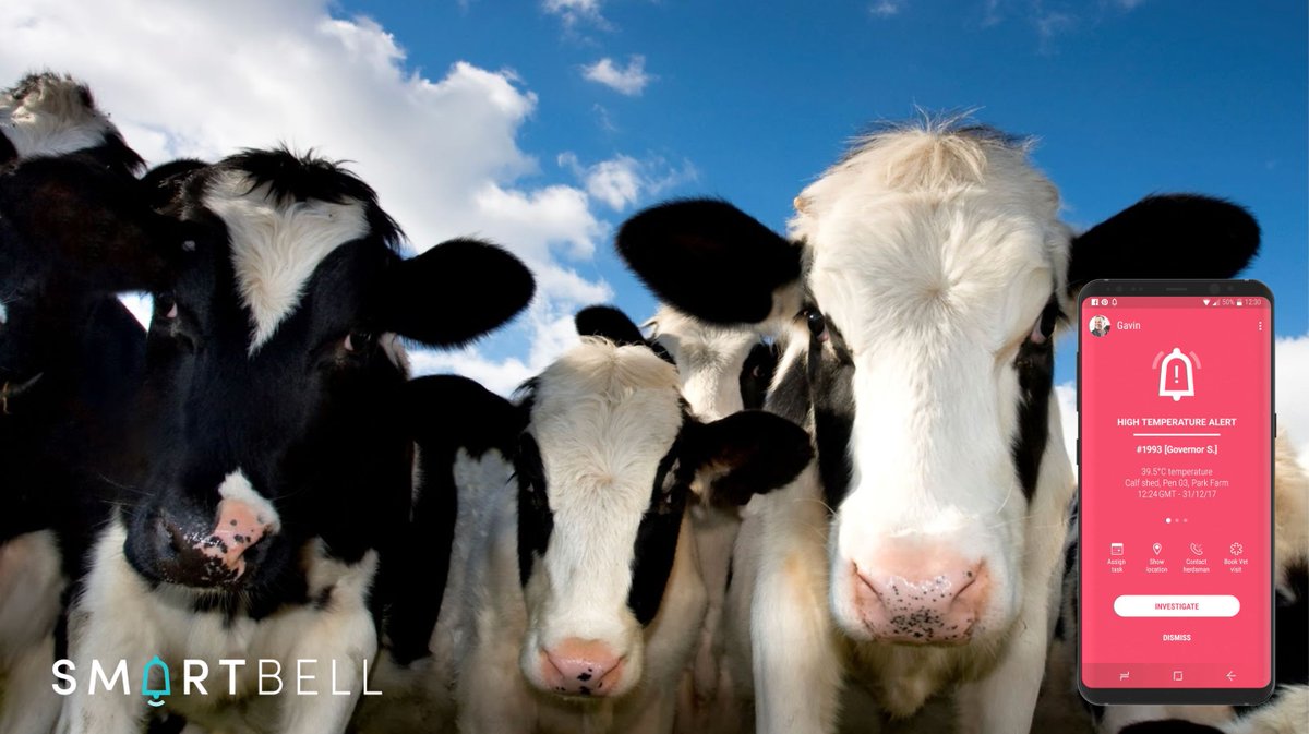 Smartbell is built for all farms using tech to boost calf health and productivity. Inspired by discussions on TheFarmingForum - see how WellCalf supports early action: wellcalf.com/case-studies/