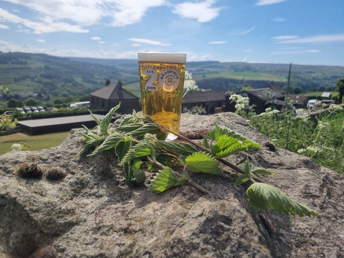 We’re cheering up a dreary Tuesday with our latest seasonal cask release - Farmers Nettle Nectar; a pale gold complex ale, brewed using freshly harvested nettles &amp; honey from <a href="/SheffieldHoney/">The Sheffield Honey Company 🍯🐝</a> 🍯 Coming in 330ml bottles soon! 

#nettlebeer #newrelease #realale