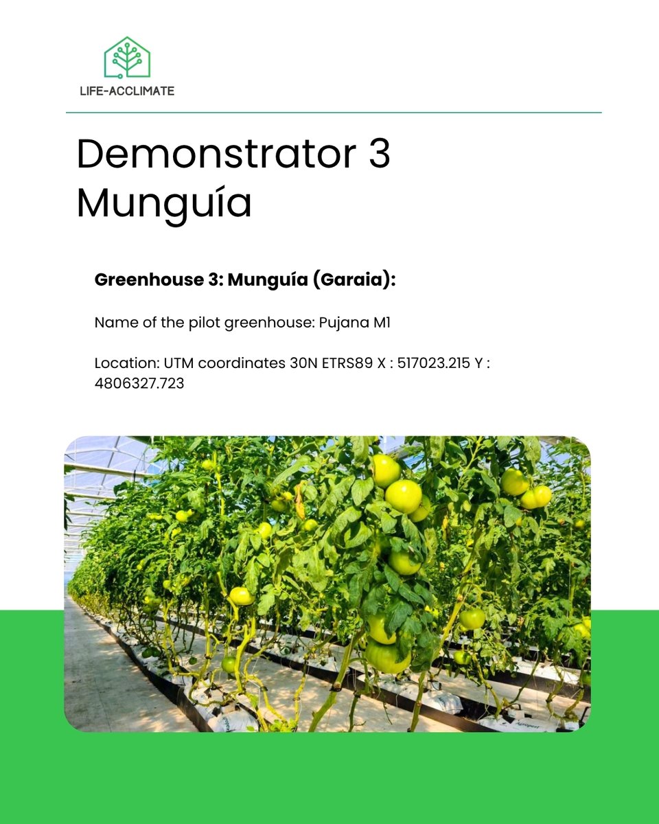 lifeacclimate's tweet image. 𝐋𝐨𝐜𝐚𝐭𝐞𝐝 𝐢𝐧 𝐌𝐮𝐧𝐠𝐮𝐢́𝐚, 𝐢𝐧 𝐧𝐨𝐫𝐭𝐡𝐞𝐫𝐧 𝐒𝐩𝐚𝐢𝐧, 𝐭𝐡𝐞 𝐆𝐚𝐫𝐚𝐢𝐚 𝐠𝐫𝐞𝐞𝐧𝐡𝐨𝐮𝐬𝐞 𝐰𝐢𝐥𝐥 𝐡𝐨𝐬𝐭 𝐝𝐞𝐦𝐨𝐧𝐬𝐭𝐫𝐚𝐭𝐢𝐨𝐧 𝐚𝐜𝐭𝐢𝐯𝐢𝐭𝐢𝐞𝐬 focusing on Jack Tomato cultivation over three growing seasons 🍅 🌱
#LIFEACCLIMATE #foodpreservation