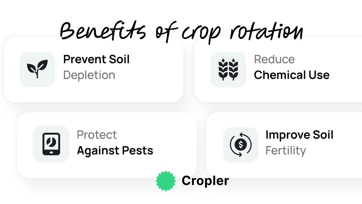 🌱 Crop rotation prevents soil depletion and improves fertility. By varying crops, farmers enhance biodiversity and reduce pests. With Cropler's AI cameras, monitor soil health in real-time to optimize your rotation. Let’s embrace this for a healthier future!

#Cropler #AgriTech