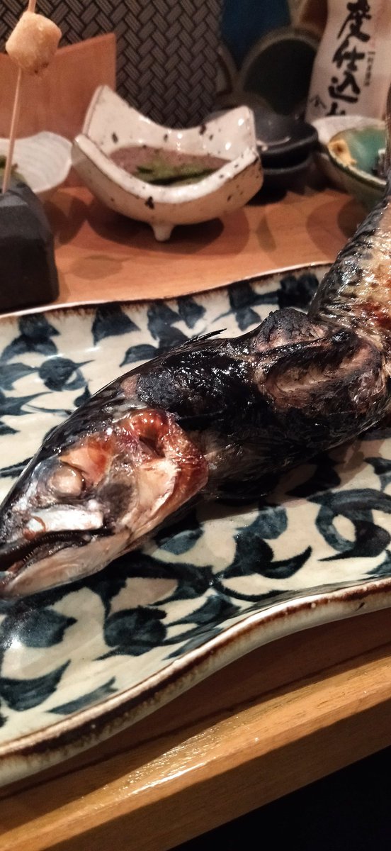 Youkooooo tweet media