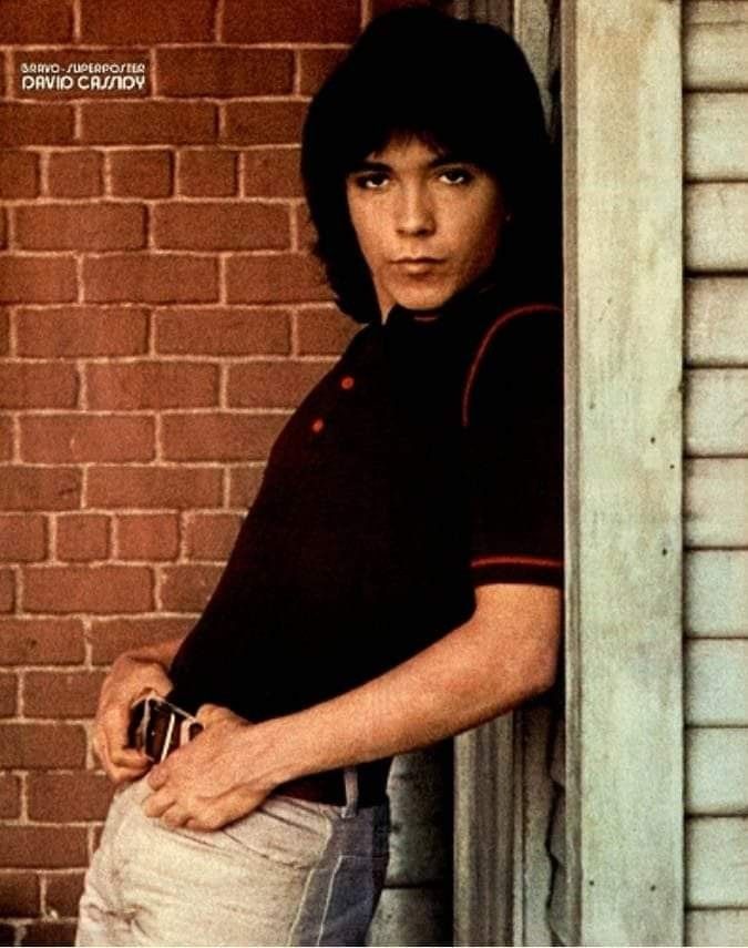 jessbythebsb's tweet photo. #TooCuteTuesday - Hot edition ๐ฅ๐๐๐๐๐ค #DavidCassidy #photoshootswithdavid #welove https://t.co/o0cXz7NT1d