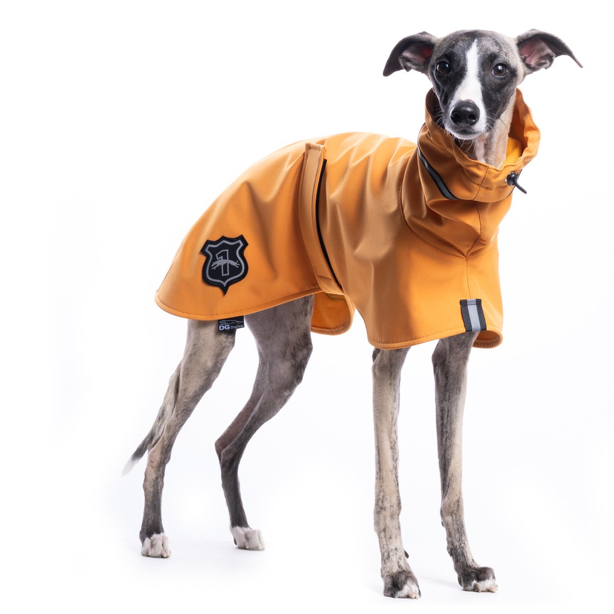 Our best-selling DG Dog Gear Sighthound Basic Raincoat is now available in two stylish new colours: Apricot and Driftwood.  

pointyfaces.co.uk/sighthound-coa…

#sighthound #whippet #italiangreyhound #saluki #greyhound #lurcher