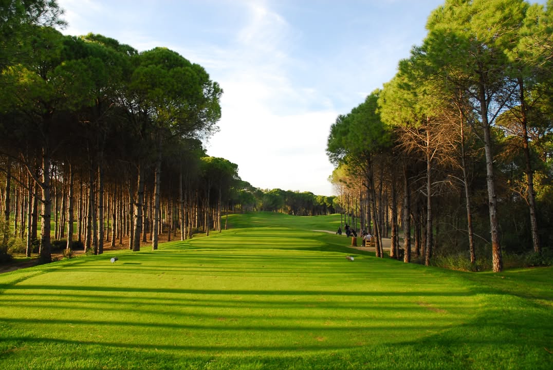 All-inclusive PLUS golf in Turkey 🤝 😮

🏌️‍♂️ TWO championship courses: The Dunes &amp; The Pines 
📍 Stay at Sueno Hotels Deluxe Belek 
🙌 Packages INCLUDE 1 in 8 Go Free!

Get the details: yourgolftravel.com/sueno-hotels-d…