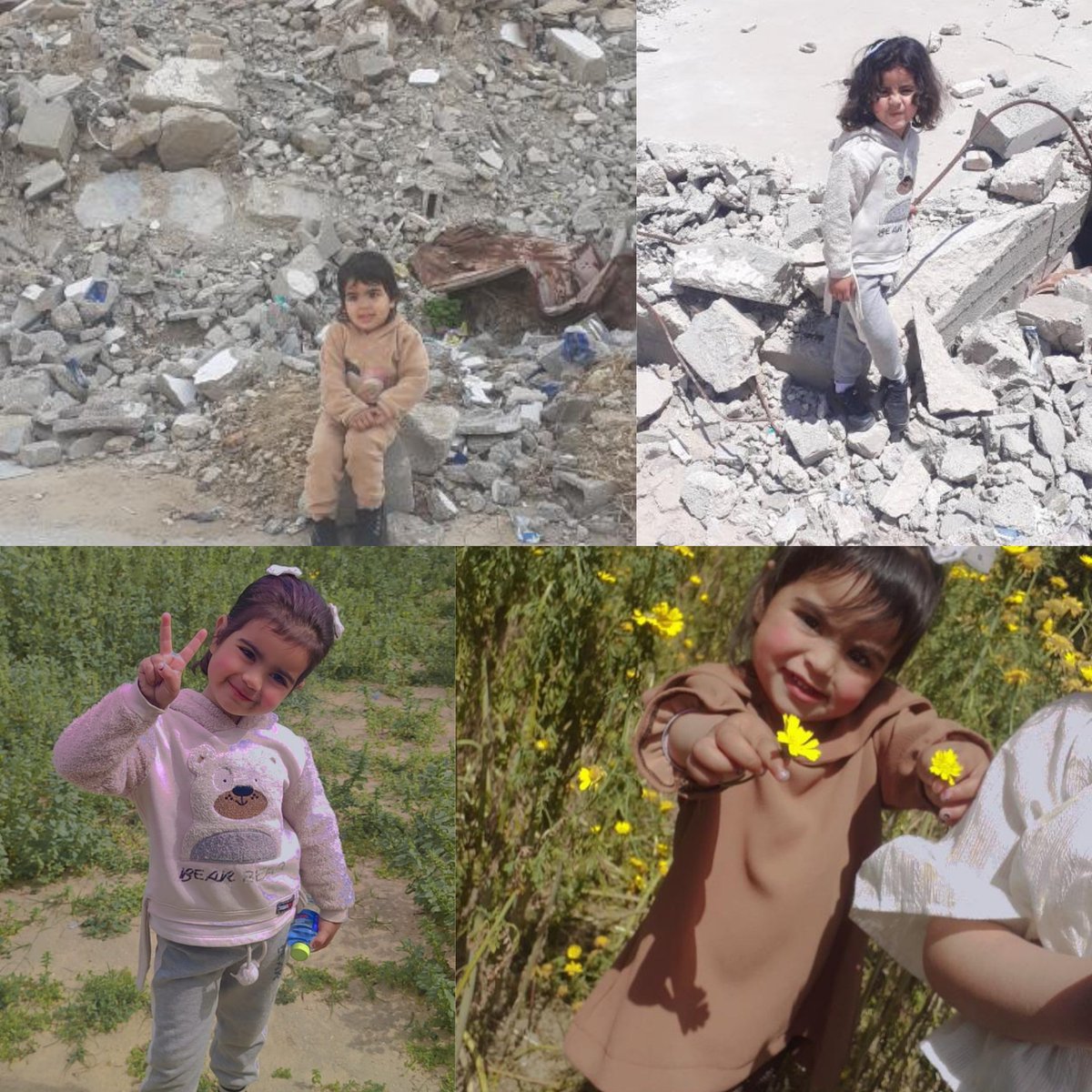anaabdoas's tweet photo. Smile through the war  and destruction
ابتسم رغم الحرب والدمار https://t.co/TljtoZQpuX