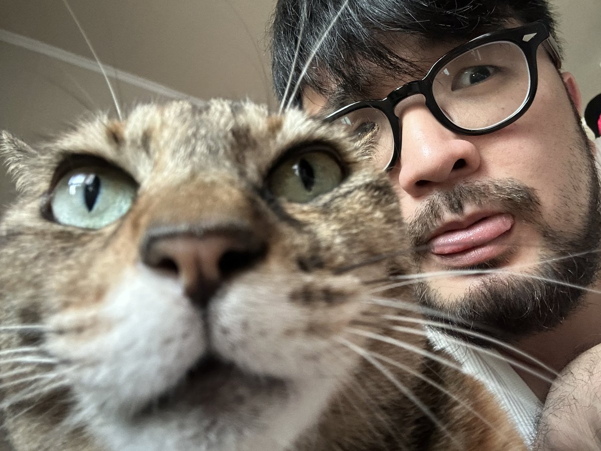 EnvyTaylor 🐹 (@envytaylor) on Twitter photo 