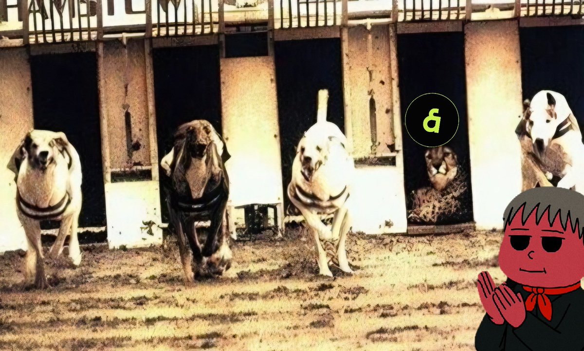 the cheetah’s smiling. 🐆

#KAIA #BugMeme #MEMETOO