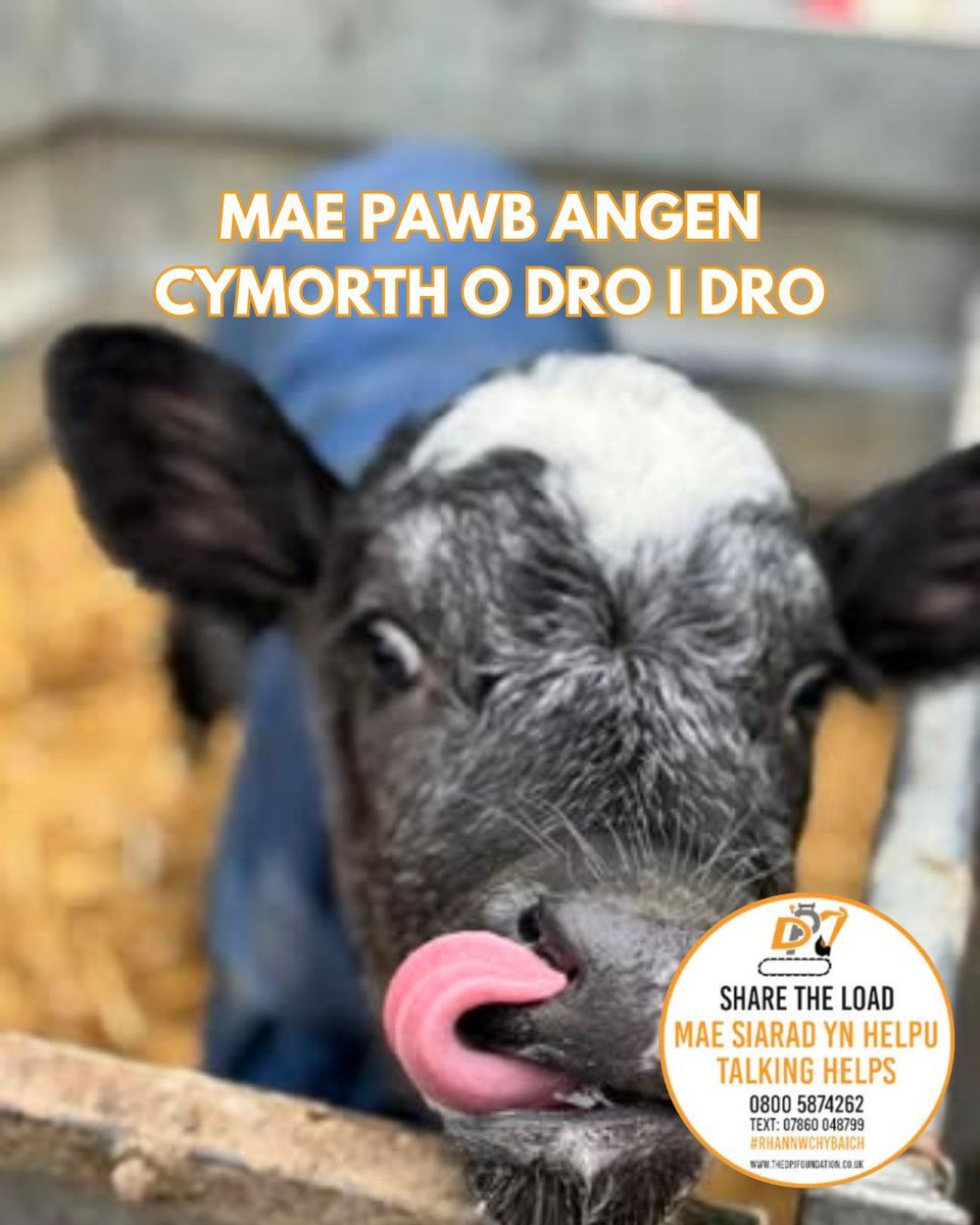 Bore Da • Good Morning ✨

"Everyone needs a hand from time to time”

☎️ I siarad • To talk: 0800 587 4262

📱Neu testun • Or text: 07860 048799

🕰️ Ar agor 24/7 • Open 24/7

#ShareTheLoad #RhannwchYBaich

📸 - Meinir Howells
