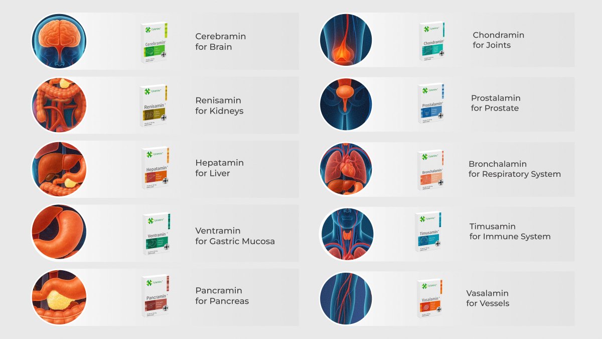 ✨ Meet Cytamins — organ-targeted supplements with natural peptides + vitamins, minerals and amino acids.

🧠💪 Liver, brain, kidneys &amp; more — there’s a Cytamin for that.

📦 Now shipping direct from the U.S.

Explore Cytamins here -> go.cosmicnootropic.com/cytamins_x

#OrganSupport