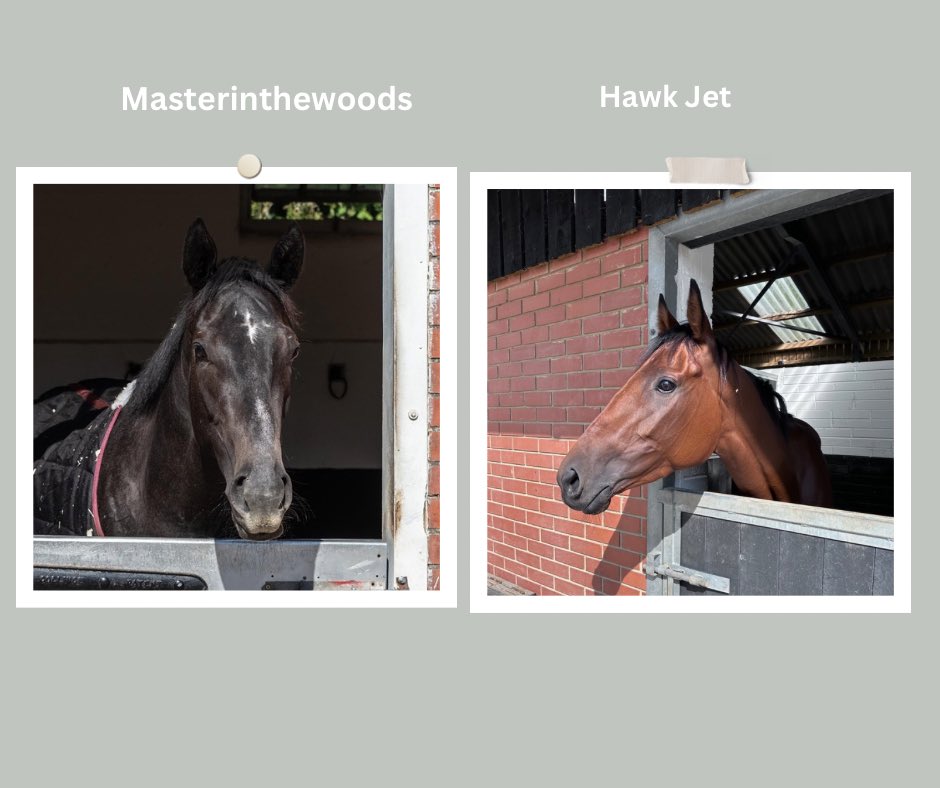Emma Lavelle (@elavelleracing) on Twitter photo π Tuesday 27th May <a href="/LeicesterRaces/">Leicester Racecourse</a>
πΉ 4.35 pm Masterinthewoods
πΉ 5.10 pm Hawk Jet
π <a href="/CierenFallonJr3/">Cieren Fallon</a> rides both
#Goodluck#TeamLavelle π π π Tuesday 27th May <a href="/LeicesterRaces/">Leicester Racecourse</a>
πΉ 4.35 pm Masterinthewoods
πΉ 5.10 pm Hawk Jet
π <a href="/CierenFallonJr3/">Cieren Fallon</a> rides both
#Goodluck#TeamLavelle π π