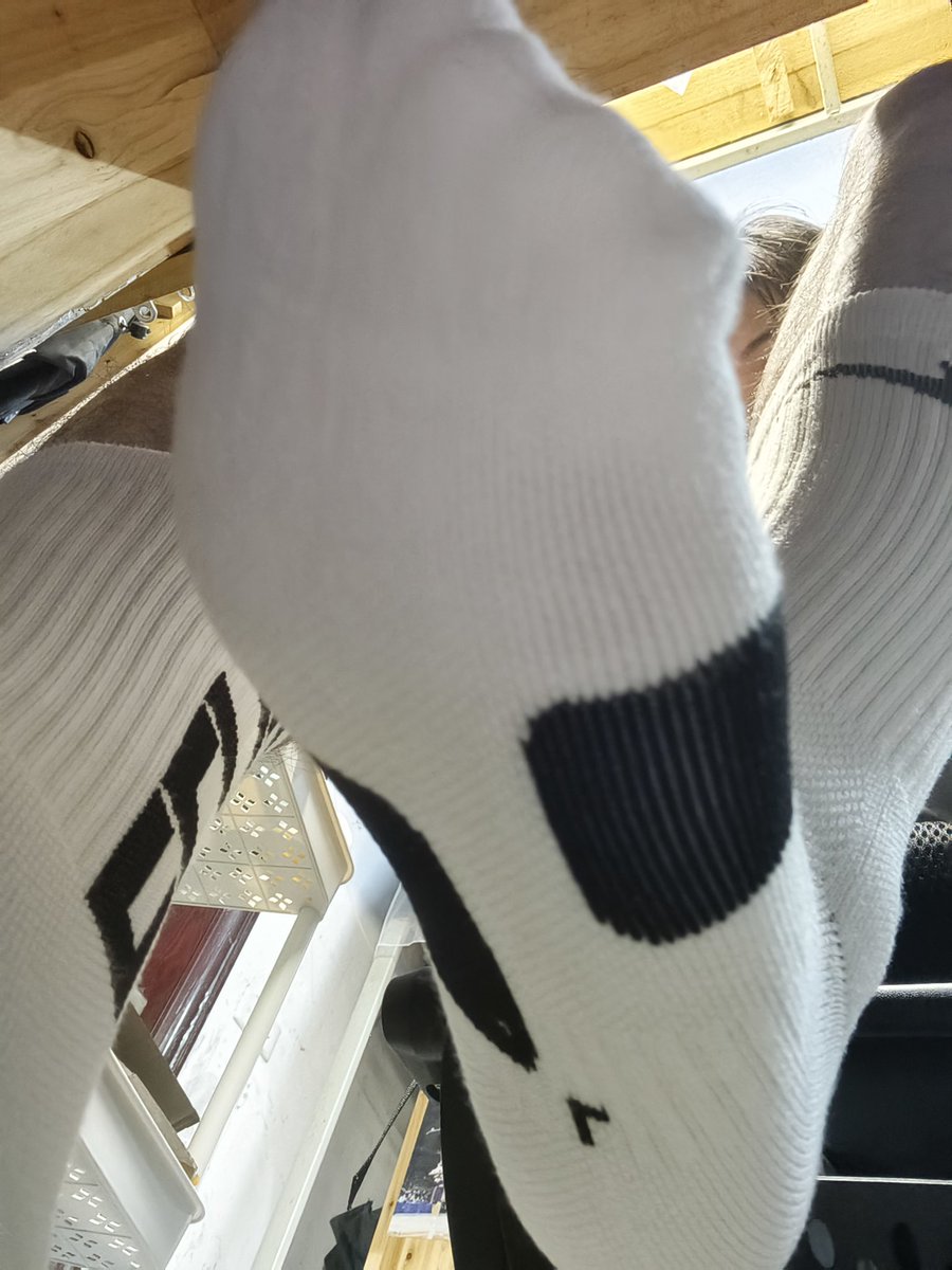 dyyp144246's tweet photo. 小狗别动，影响你爸爸学习了 https://t.co/MqMwmeFITK