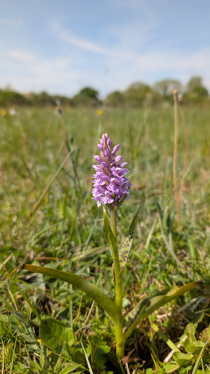 Sean Cole tweet media