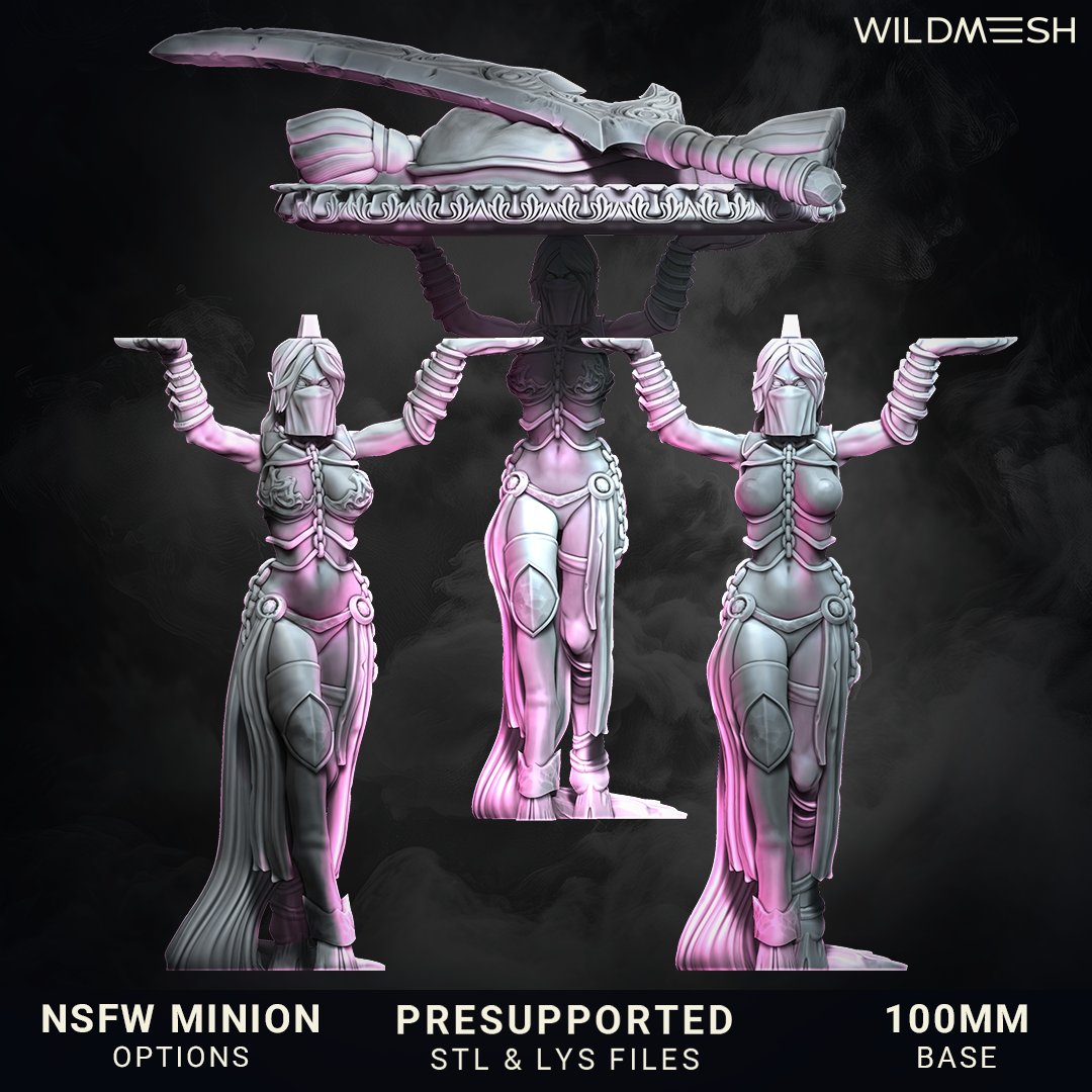 MeshWild's tweet photo. Bride of Silence. Multipart Hero and many more for $10 in May Wave on #MMF don’t miss it! She’s got 10 looks, but most are too spicy for IG.
#myminifactory #3dminis #3dprint #stl #tribe https://t.co/eBLLuYcOwZ