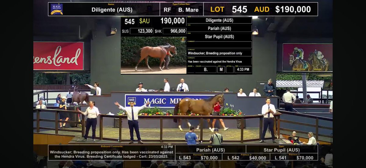 Aquis Stallions (@aquisfarm) on Twitter photo ‼️ The Fung brothers strike‼️
⭐️ Taking home the 3/4 sister to our very own Group 1 winner Stronger and star filly Lady Shenandoah! ⭐️ ‼️ The Fung brothers strike‼️
⭐️ Taking home the 3/4 sister to our very own Group 1 winner Stronger and star filly Lady Shenandoah! ⭐️
