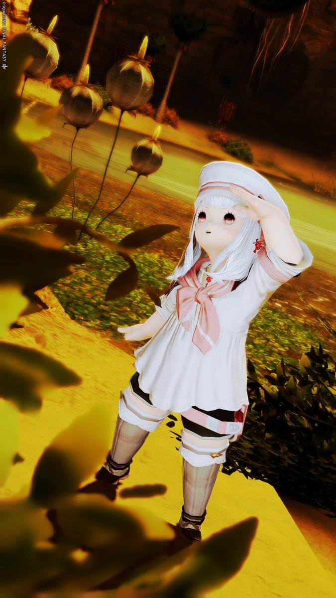 帰宅を待った日
周りがみるみる 金色に染まってく😊✨
＃FF14
