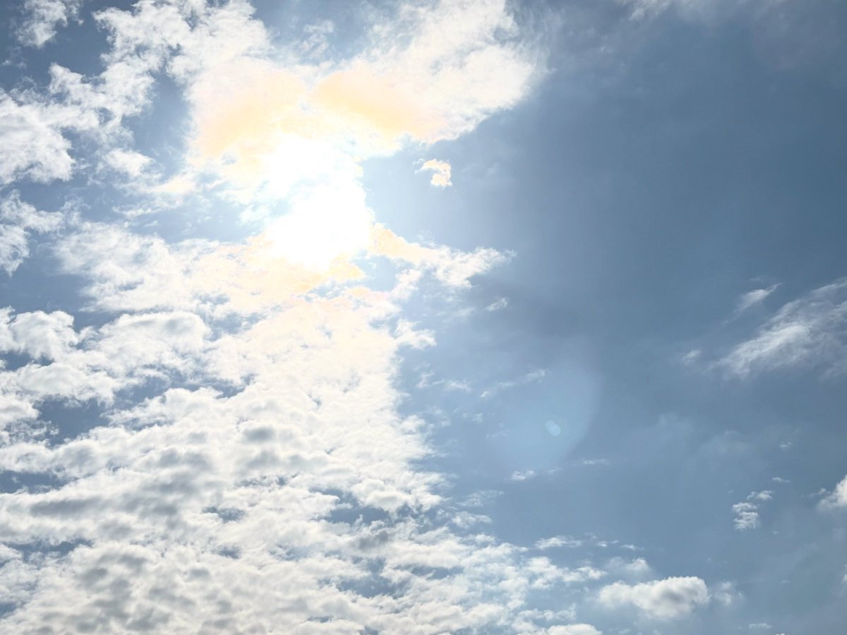 #イマソラ 
#スマホ写真部 
#ファインダー越しの私の世界 
#写真好きな人と繋がりたい
