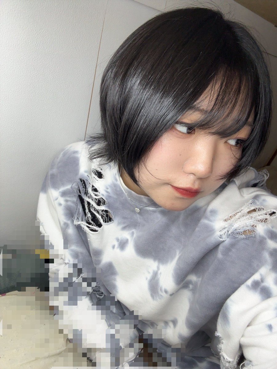 ショートウルフさんになりました