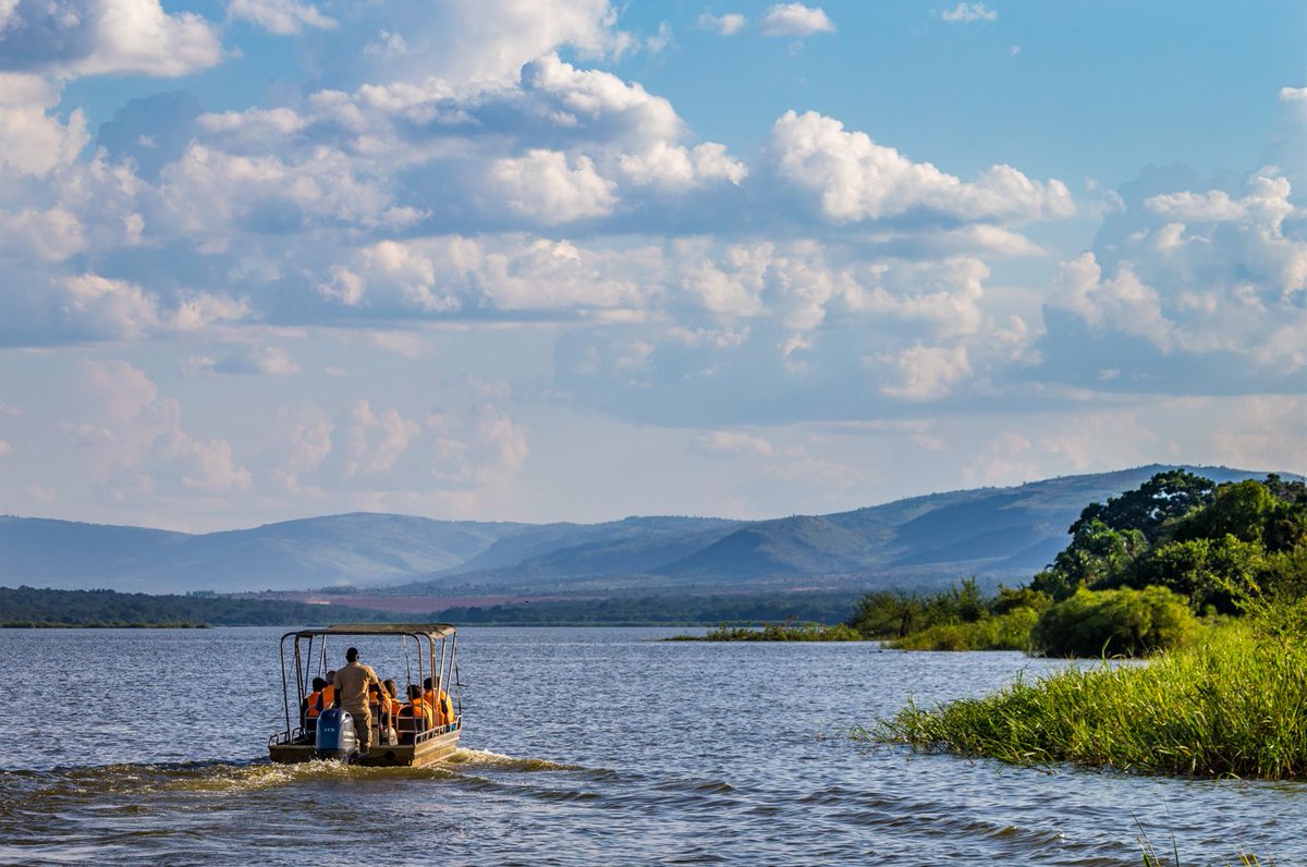 Rwanda Environmental Journalists (@envirorwanda) on Twitter photo From #BiodiversityConservation to #CommunityDevelopment and beyond, <a href="/AkageraPark/">Akagera National Park</a> led impactful initiatives across multiple sectors in 2024—a year that also marked its 90th anniversary.
📬 Read the full highlights in the latest newsletter here ⤵️
mailchi.mp/african-parks/… From #BiodiversityConservation to #CommunityDevelopment and beyond, <a href="/AkageraPark/">Akagera National Park</a> led impactful initiatives across multiple sectors in 2024—a year that also marked its 90th anniversary.
📬 Read the full highlights in the latest newsletter here ⤵️
mailchi.mp/african-parks/…