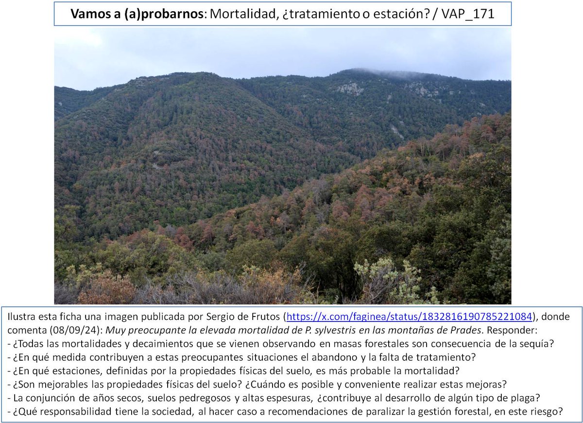 La sugerente imagen de esta ficha y sus comentarios están en: x.com/faginea/status…. Esto está pasando en muchos sitios, ver hilo completo en: x.com/lvaro_Forest/s…. Conviene, #elMonteEnseña, analizar cada caso con detalle y estudios completos y no echar toda la culpa al CC.