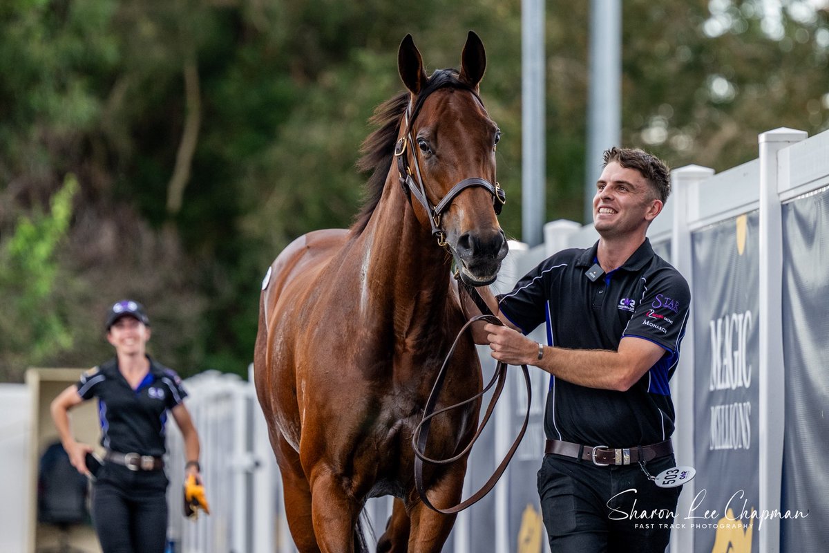 FastTrackPhotog's tweet image. Zougotcha sells for $5.25 million to Tom
Magnier from Chris Waller Racing @mmsnippets @TomMagnier @CoolmoreAus @AndrewNJHawkins @anz_news