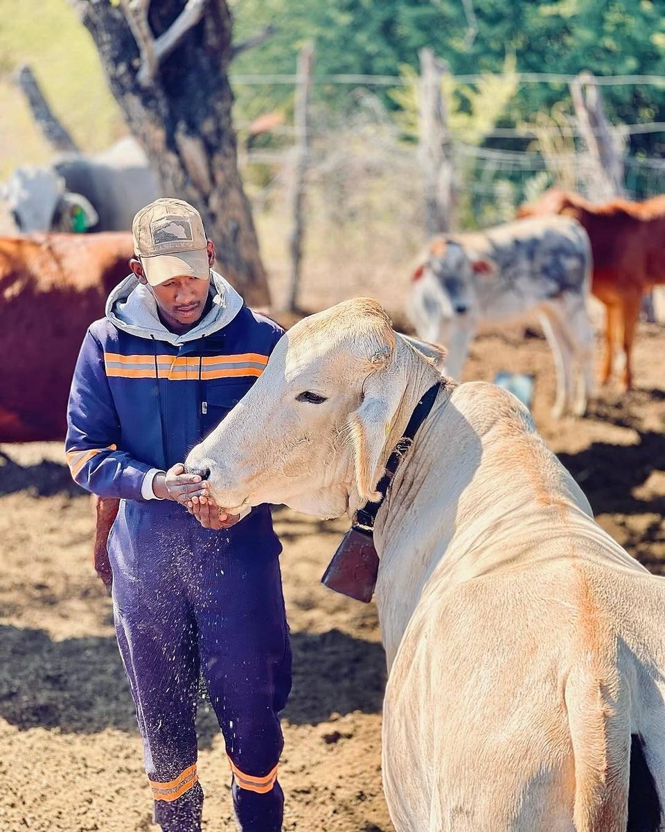 For the love of livestock farming

#agribusinesstalk