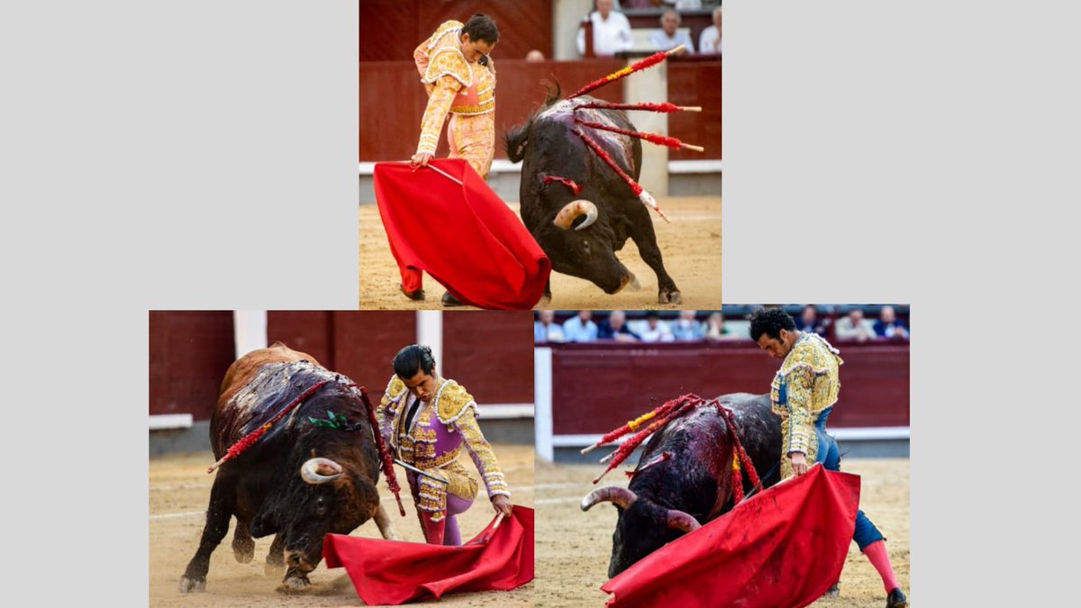 ORMurcia's tweet photo. #LaMontera con @JFBayona
San Isidro 25': Segunda Parte
https://t.co/FpUHZomlQT a través de @ormurcia https://t.co/kNlFu1ZytN