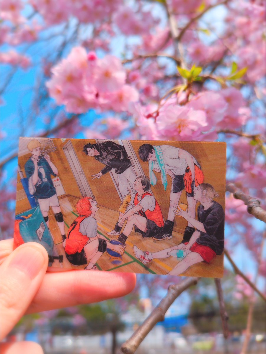 purinncat's tweet photo. https://t.co/RGKPg1bilv