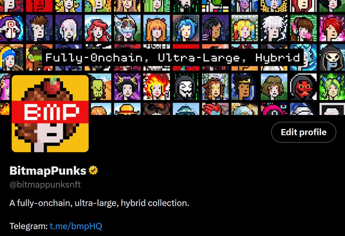 BitmapPunks tweet media