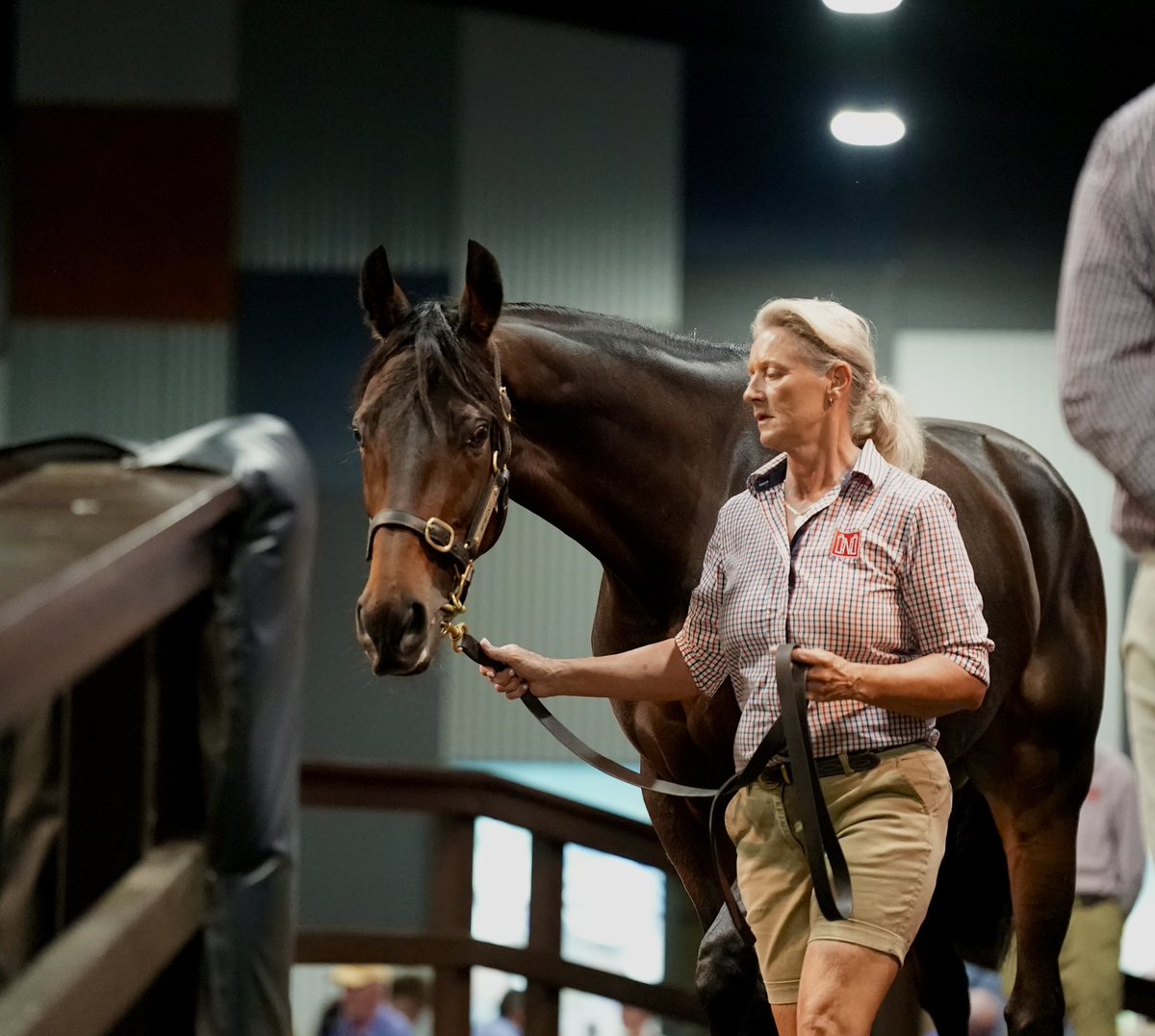 Newgate (@newgatefarm) on Twitter photo SOLD! <a href="/mmsnippets/">Magic Millions</a>
Lot 574 - SWELTERING from the #NewgateConsignment sells for $6️⃣0️⃣0️⃣,0️⃣0️⃣0️⃣🔥
Purchased by Highway Farm💪🏼
Congratulations to all involved on a great result! <a href="/busuttin/">Busuttin Racing</a> 👏🏼👏🏼 SOLD! <a href="/mmsnippets/">Magic Millions</a>
Lot 574 - SWELTERING from the #NewgateConsignment sells for $6️⃣0️⃣0️⃣,0️⃣0️⃣0️⃣🔥
Purchased by Highway Farm💪🏼
Congratulations to all involved on a great result! <a href="/busuttin/">Busuttin Racing</a> 👏🏼👏🏼