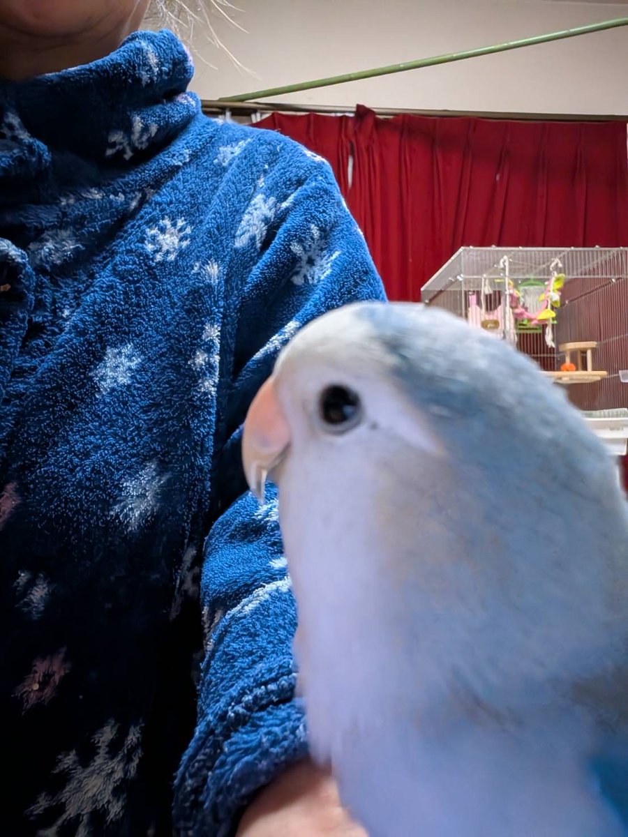 認定NPO法人TSUBASA -新施設クラファン達成しました！- tweet media