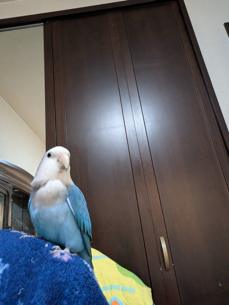 認定NPO法人TSUBASA -新施設クラファン達成しました！- tweet media