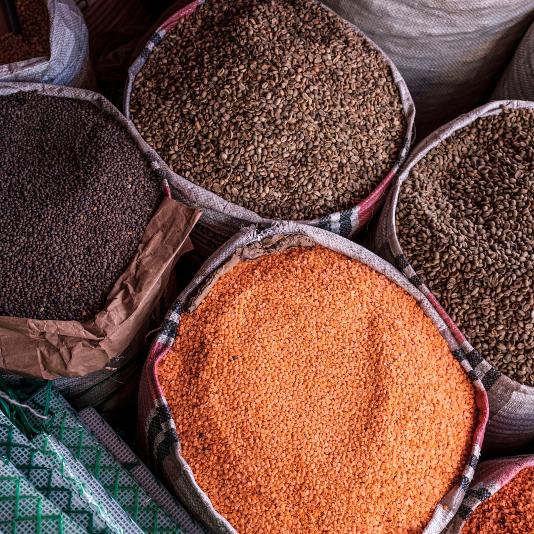 PlantTreaty (@planttreaty) on Twitter photo The power of the International Plant Treaty’s Multilateral System is connecting the world through seeds. 🌐 🌱
➡️ bit.ly/4dkk2PO
#ItAllStartsWithTheSeed #FoodSecurity
<a href="/FAOclimate/">FAO Climate Change & Biodiversity</a> <a href="/SeedFed/">International Seed Federation</a> <a href="/CropTrust/">The Crop Trust</a> <a href="/CGIAR/">CGIAR</a> <a href="/BiovIntCIAT_eng/">Alliance of Bioversity International and CIAT</a> <a href="/worldfarmersorg/">WFO</a> <a href="/Seedsaversx/">Seed Savers Exchange</a> <a href="/UNEP/">UN Environment Programme</a> <a href="/IPBES/">ipbes</a> The power of the International Plant Treaty’s Multilateral System is connecting the world through seeds. 🌐 🌱
➡️ bit.ly/4dkk2PO
#ItAllStartsWithTheSeed #FoodSecurity
<a href="/FAOclimate/">FAO Climate Change & Biodiversity</a> <a href="/SeedFed/">International Seed Federation</a> <a href="/CropTrust/">The Crop Trust</a> <a href="/CGIAR/">CGIAR</a> <a href="/BiovIntCIAT_eng/">Alliance of Bioversity International and CIAT</a> <a href="/worldfarmersorg/">WFO</a> <a href="/Seedsaversx/">Seed Savers Exchange</a> <a href="/UNEP/">UN Environment Programme</a> <a href="/IPBES/">ipbes</a>