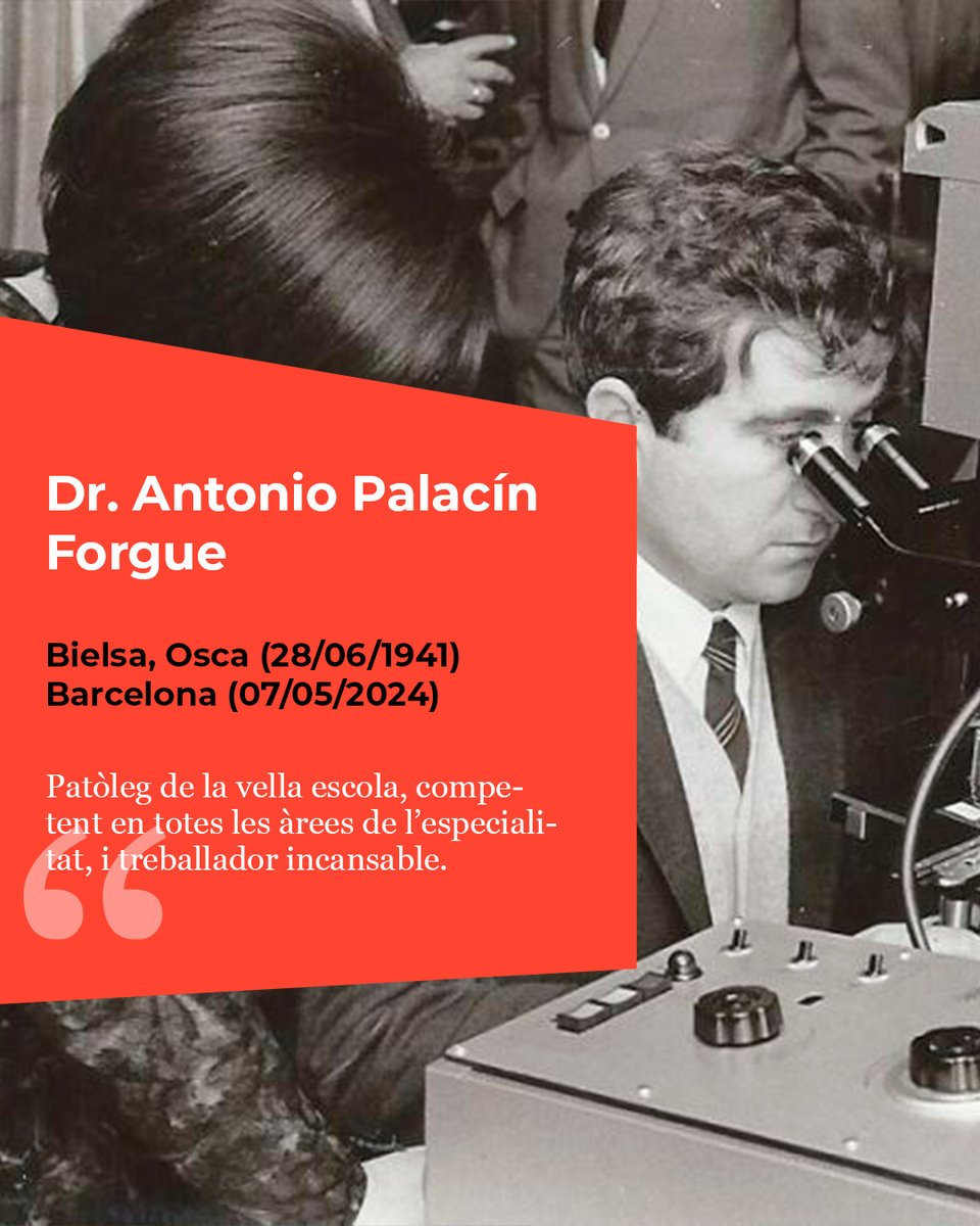 MHMedicinaCat's tweet image. 👨⚕️Antonio Palacín Forgue (1941-2024) va ser un patòleg de la vella escola, competent en totes les àrees de l'especialitat 💉 En el seu moment, era un dels màxims experts en patologia ginecològica i placentària amb reconeixement internacional.
👉ja.cat/cpXzT