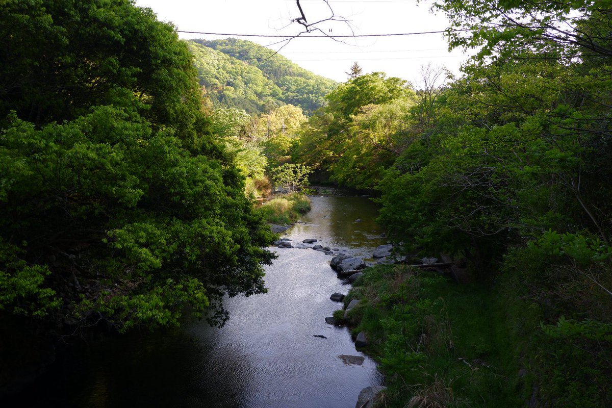 above the rivers
conversations flow in one 
the other silent 

#photography #fujifilm #streetphotography
