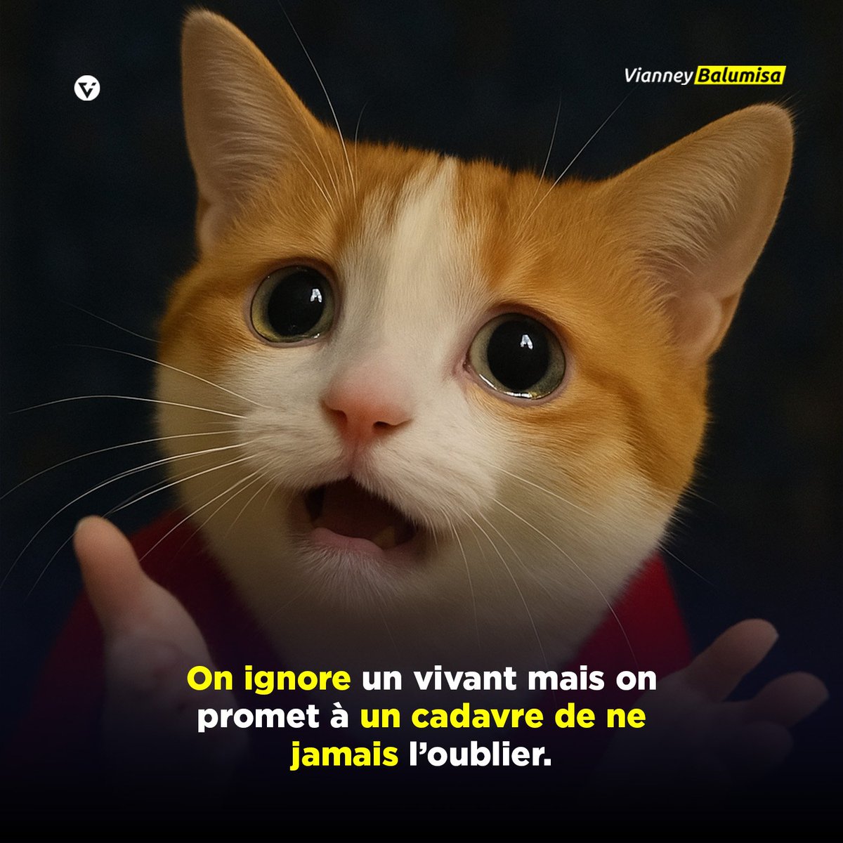 vianneybaa's tweet photo. Les choses du monde 🤷🤦📌 https://t.co/GbBOYOjYVS