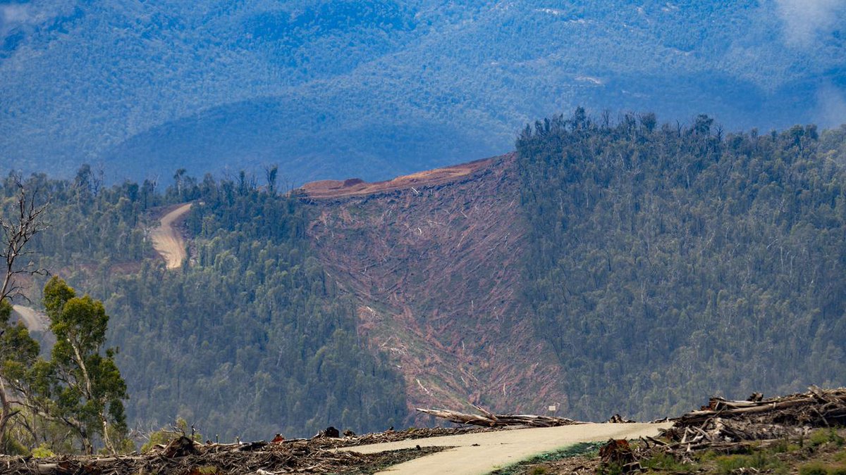 How much are you willing to pay for Net Zero?

Energy regulators just confirmed that bills will rise another 10% due to the expensive renewable rollout.

Power bills have already soared over the past 12 months, now they’re going up again.

It’s time to change course. Here’s why🧵