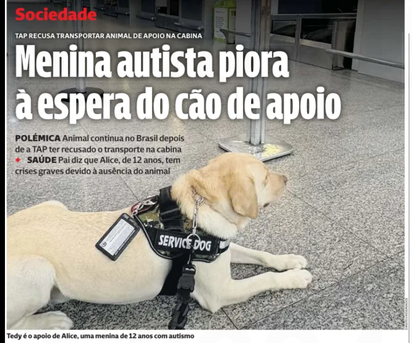 Manuel Loureiro (ML) tweet media