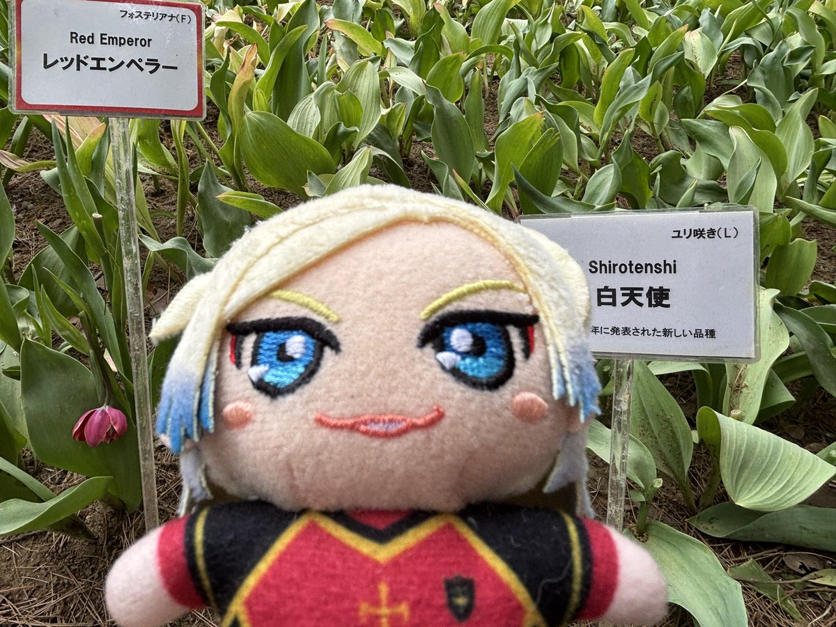 room piyo tweet media