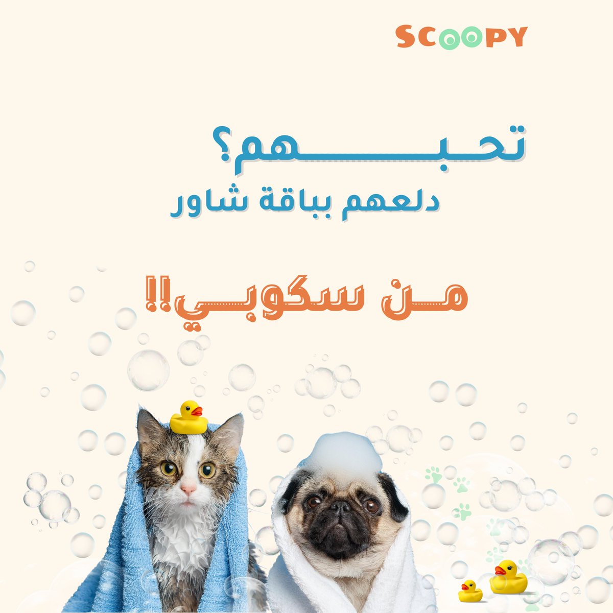 scoopy | سكوبي tweet media