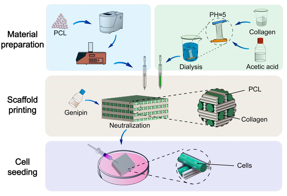 Micromachines (@micromach_mdpi) on Twitter photo 👏 Welcome to read the Feature Paper: "Multi-Nozzles 3D Bioprinting Collagen/Thermoplastic Elasto-Mer Scaffold with Interconnect Pores" in Micromachines journal
🧑🔬 Kuo Yao, et al
🏫 <a href="/CAS__Science/">Chinese Academy of Sciences</a>
👉 Available at: mdpi.com/2072-666X/16/4…
#Micromachines
#bioprinting
#scaffold 👏 Welcome to read the Feature Paper: "Multi-Nozzles 3D Bioprinting Collagen/Thermoplastic Elasto-Mer Scaffold with Interconnect Pores" in Micromachines journal
🧑🔬 Kuo Yao, et al
🏫 <a href="/CAS__Science/">Chinese Academy of Sciences</a>
👉 Available at: mdpi.com/2072-666X/16/4…
#Micromachines
#bioprinting
#scaffold