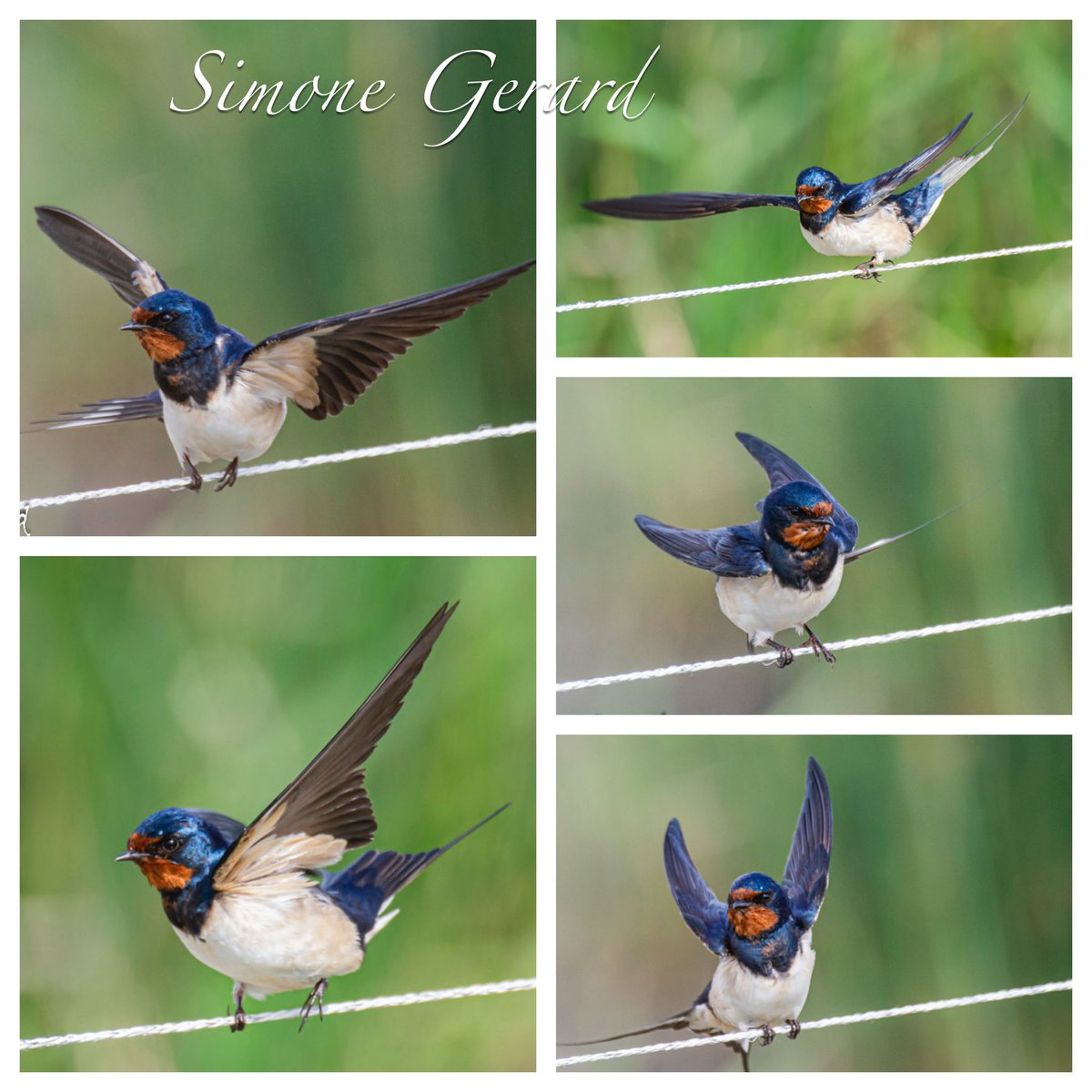 Winderig. Goedemorgen!