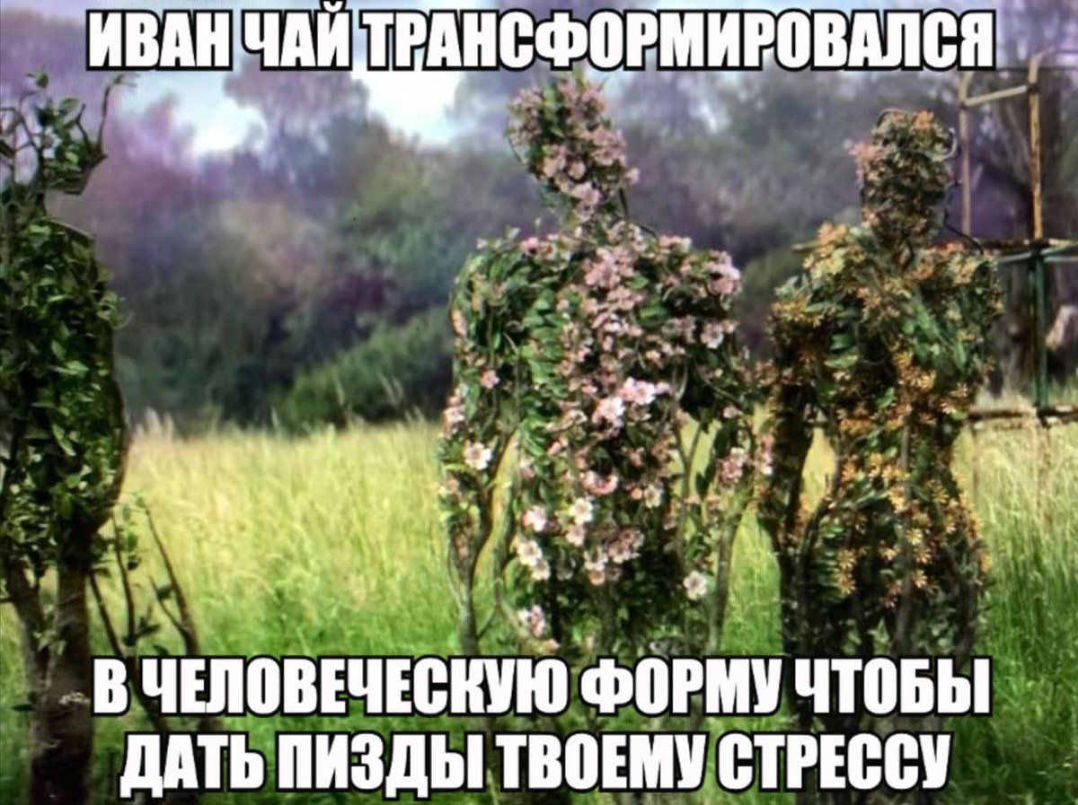 аконитовое зелье (@akonitmood) on Twitter photo 