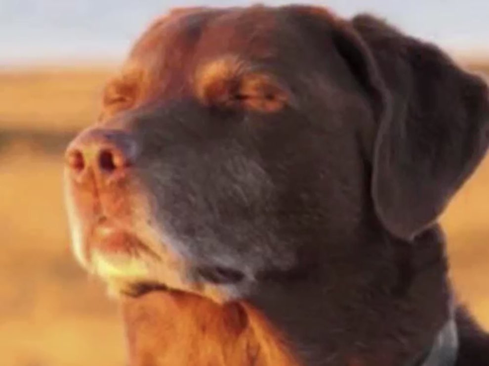 E L I ♡ tweet media