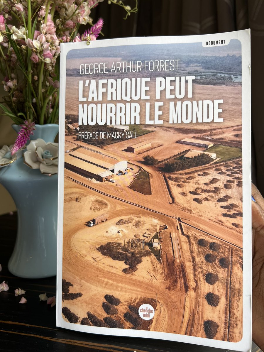 « L'Afrique peut nourrir le monde », dit George Arthur Forrest.
Moi, je dis : encore faut-il financer ses ambitions agricoles.
< Mon article sur le rôle des institutions financières arrive bientôt.
#Agrobusiness #RDC #FinanceAgricole #equitybcdc