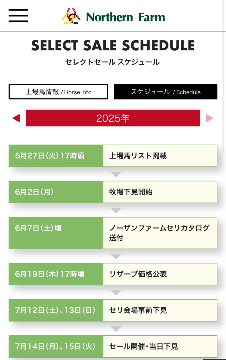 セレクトセール】 下見に来ました🐴本日は晴天なり☀️