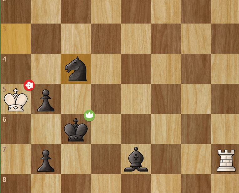 vezir olmadan yapılan matları seviyorum, siz ?